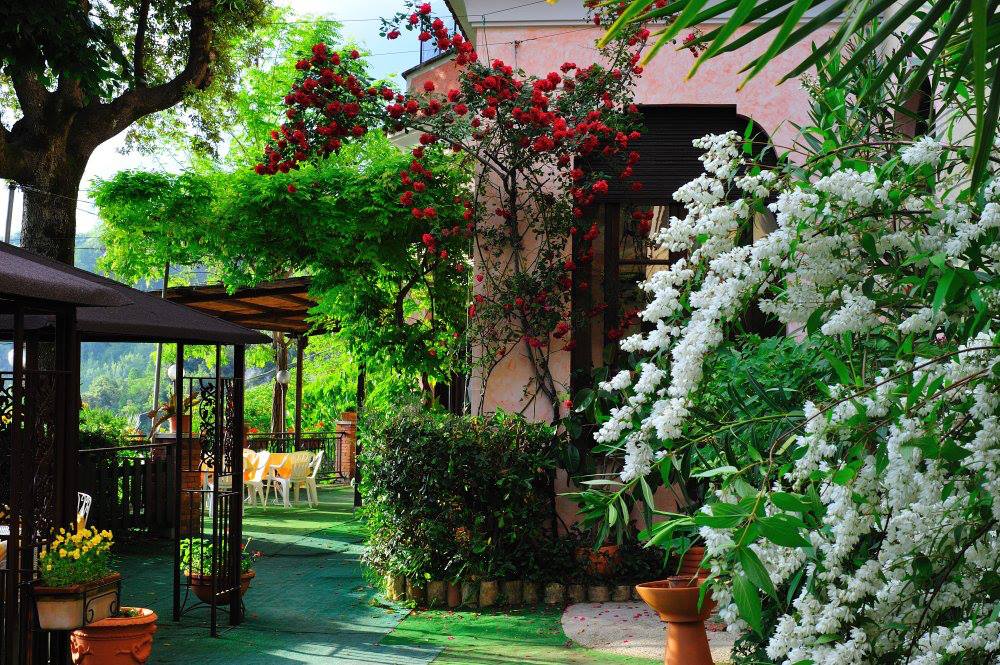 Belvedere Ristorante B&B foto 1