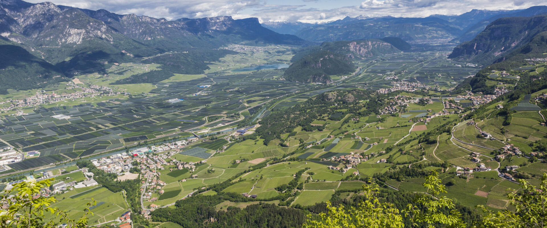 Pensione Lamberthof foto 4