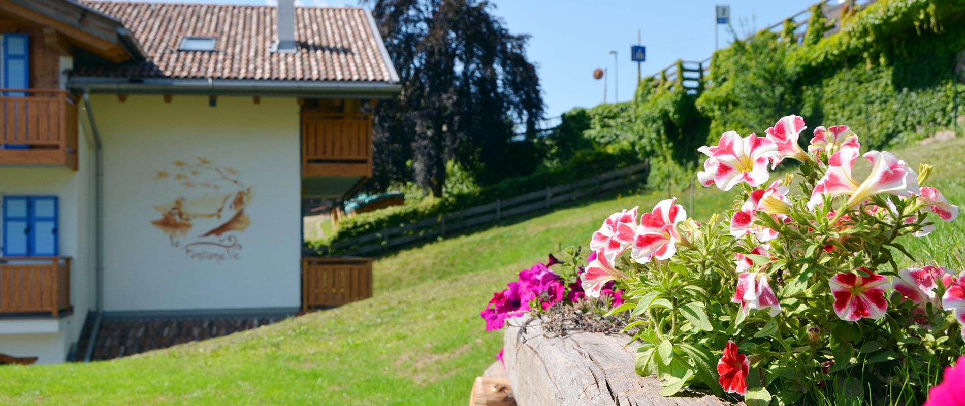 B&B Le Fontanelle Carano - Val di Fiemme foto 5
