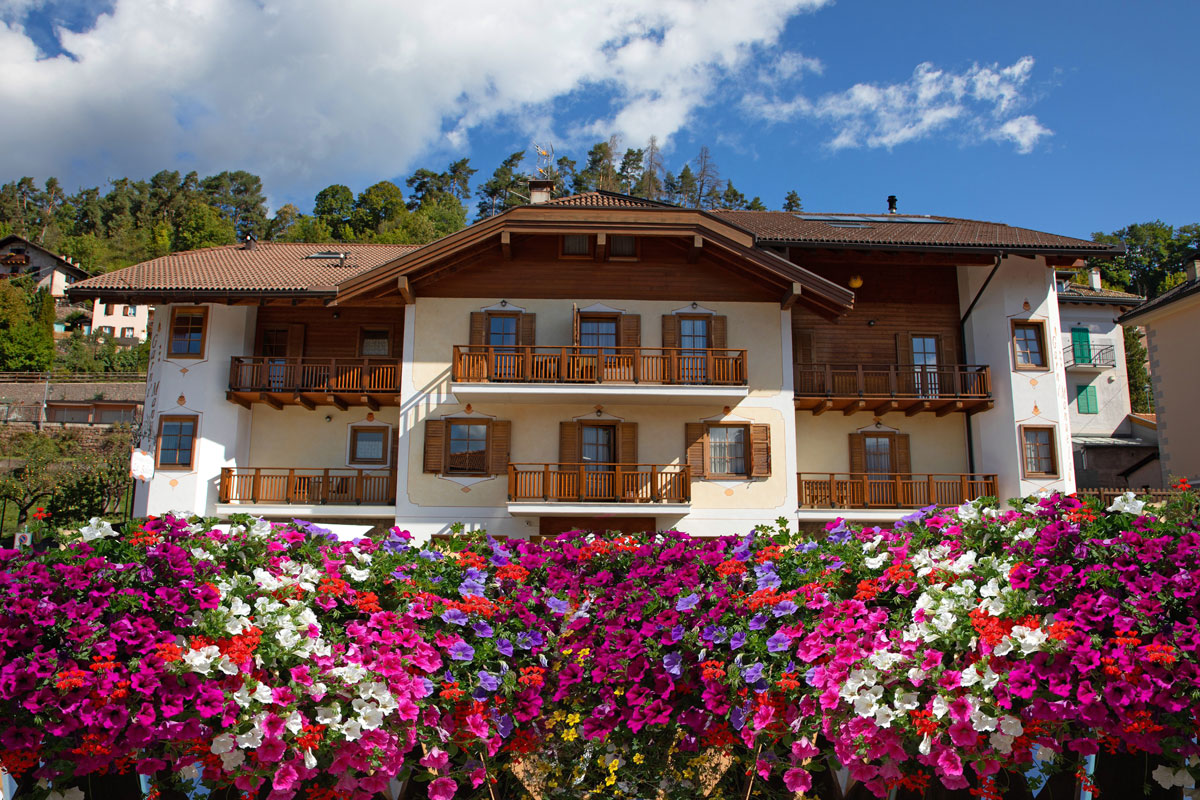 "Garnì Manuela" ALBERGO B&B APPARTAMENTI per vacanza in RESIDENCE a Cavalese - VAL DI FIEMME - Dolomiti del Trentino foto 4