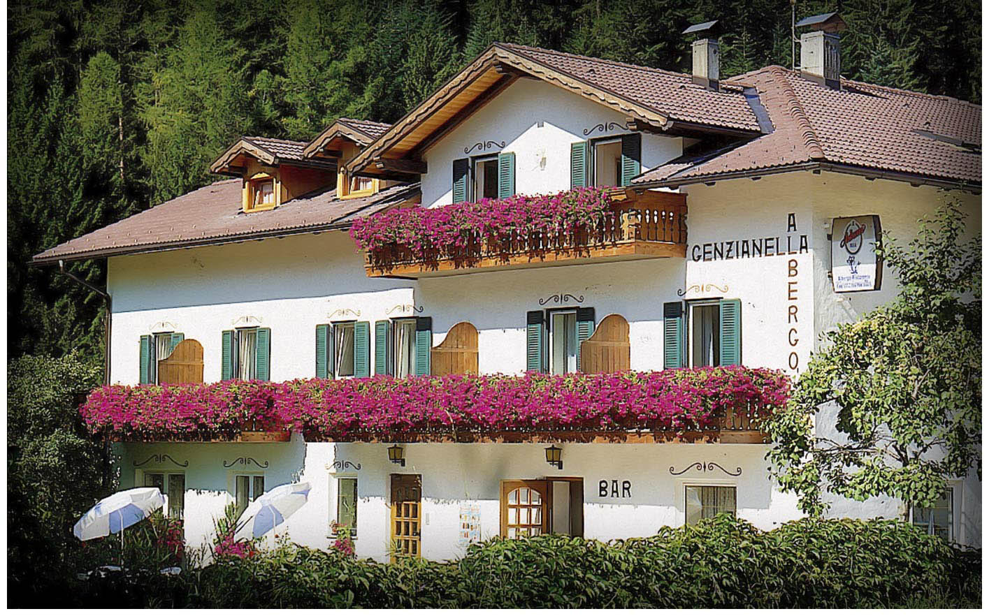 Albergo Genzianella foto 2