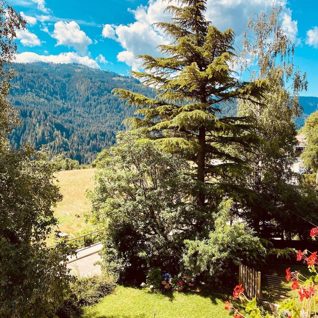 B&B Pichler Casa foto 6