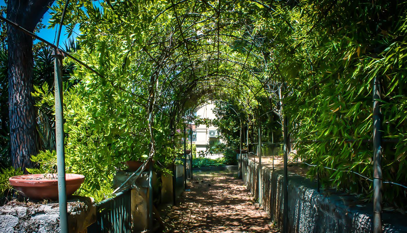 B&B Il Giardino foto 2