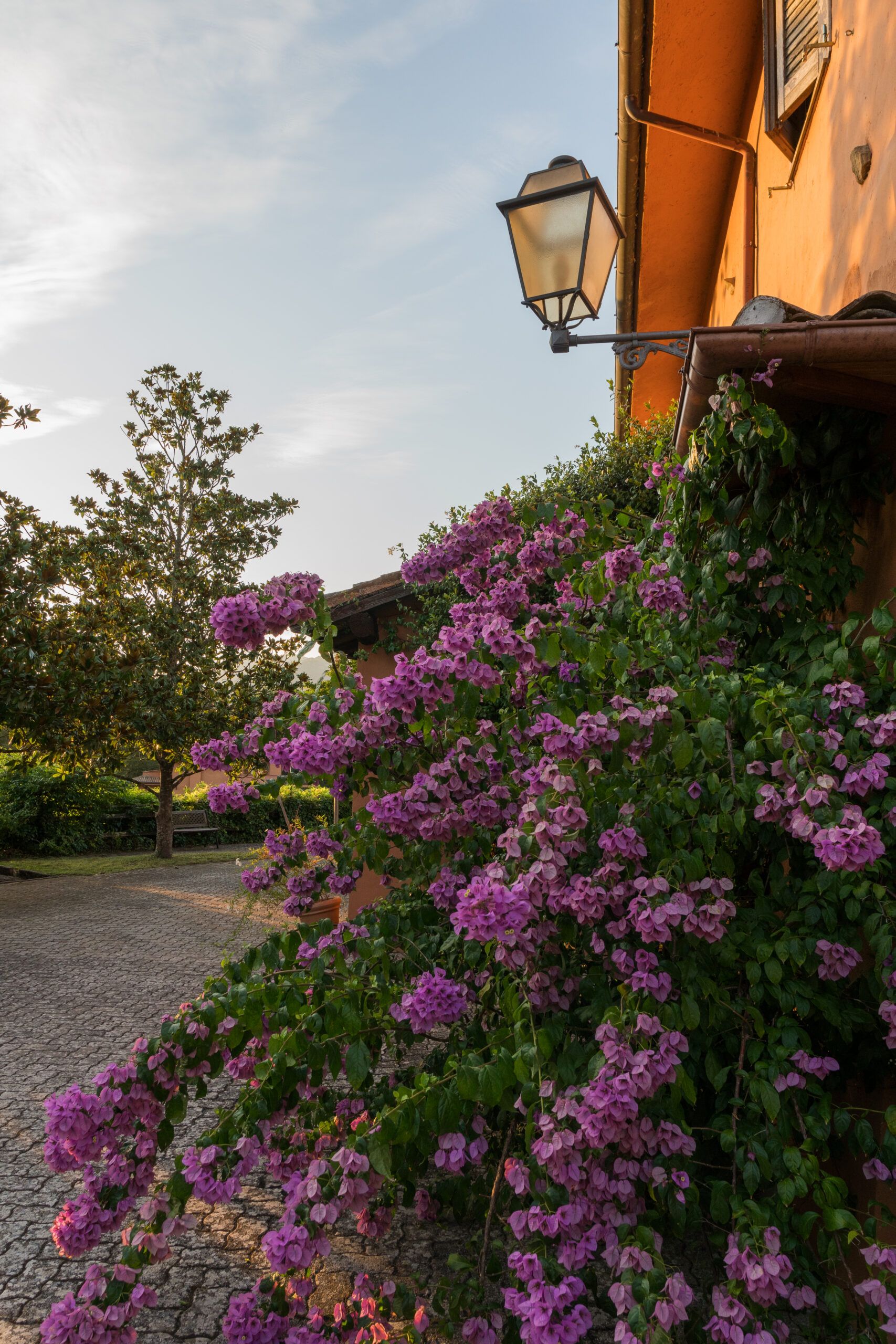 Agriturismo Il Borgo nel Bosco foto 6