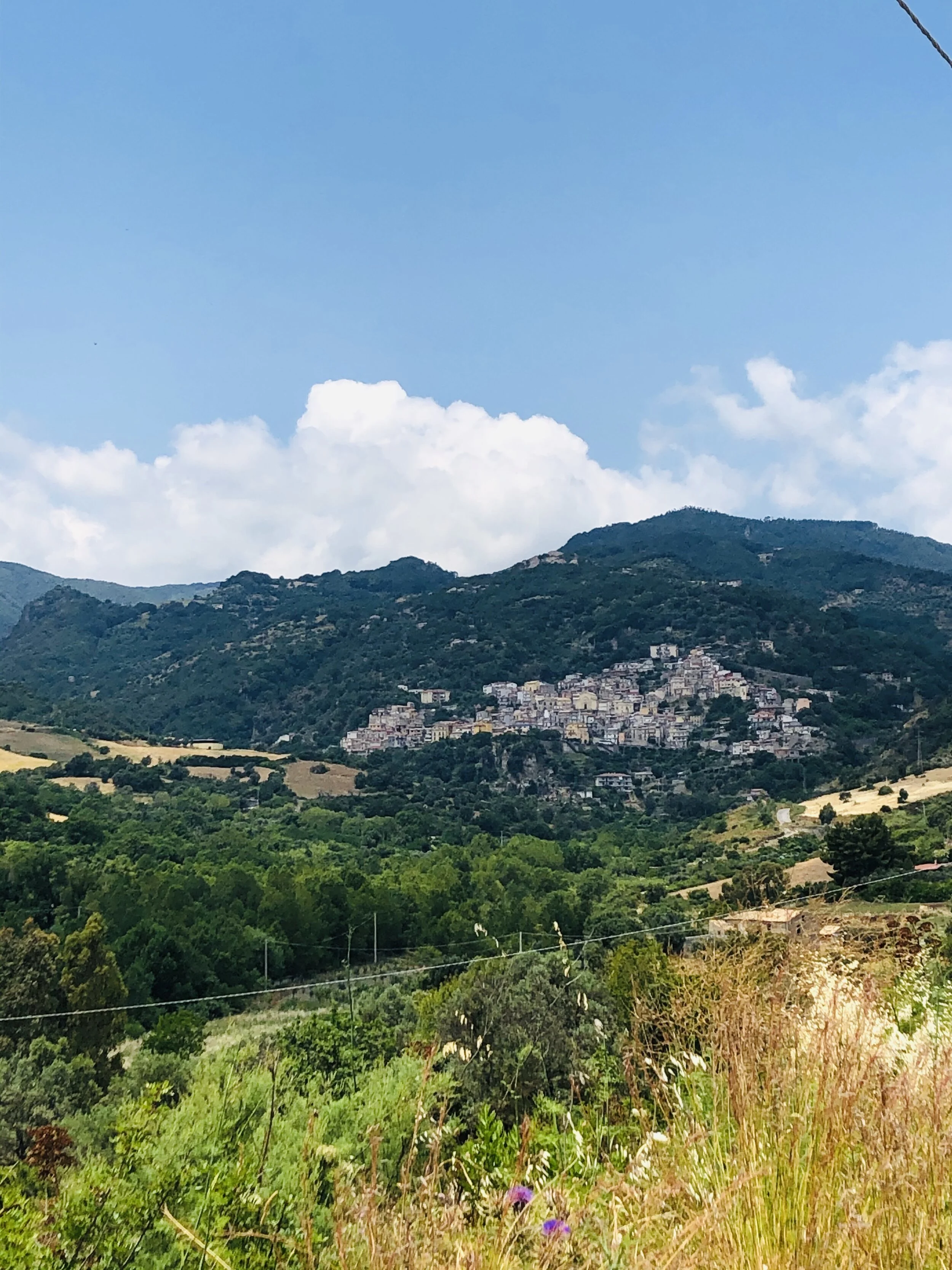 Il Giardino degli Aranci foto 1
