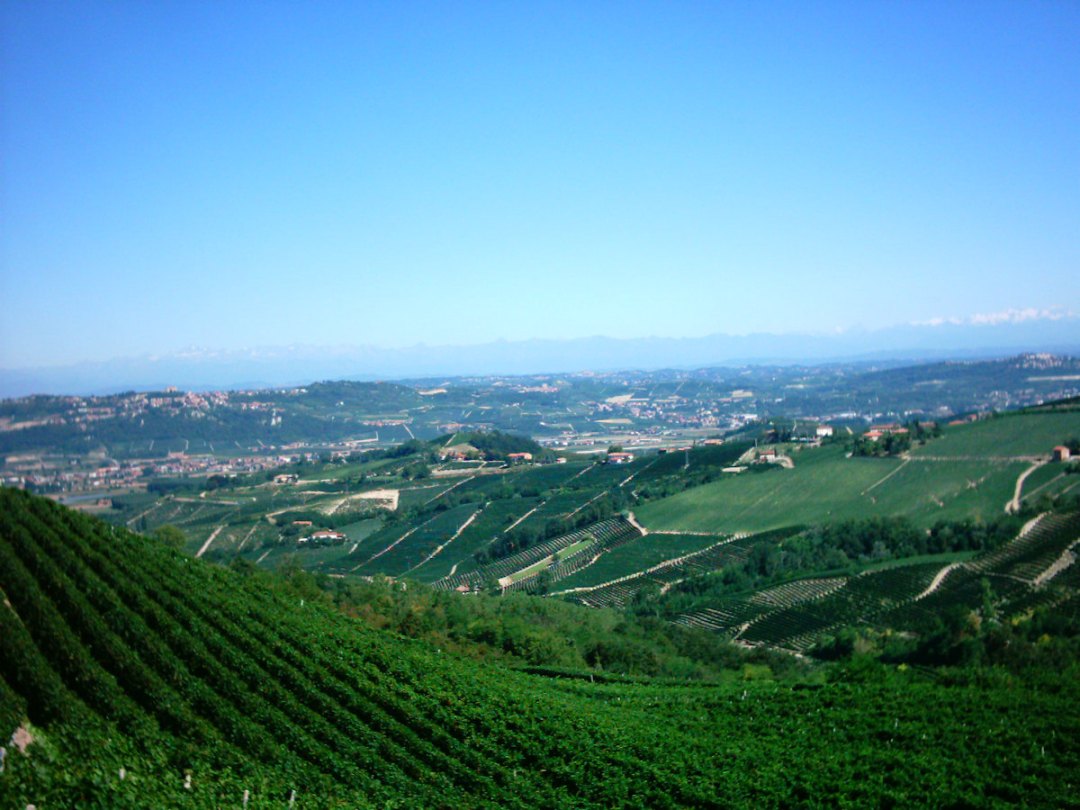 B&B Tenuta Morgnano foto 1