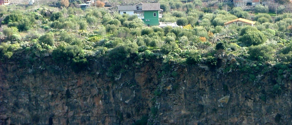 Azienda Agricola Cuntarati foto 6