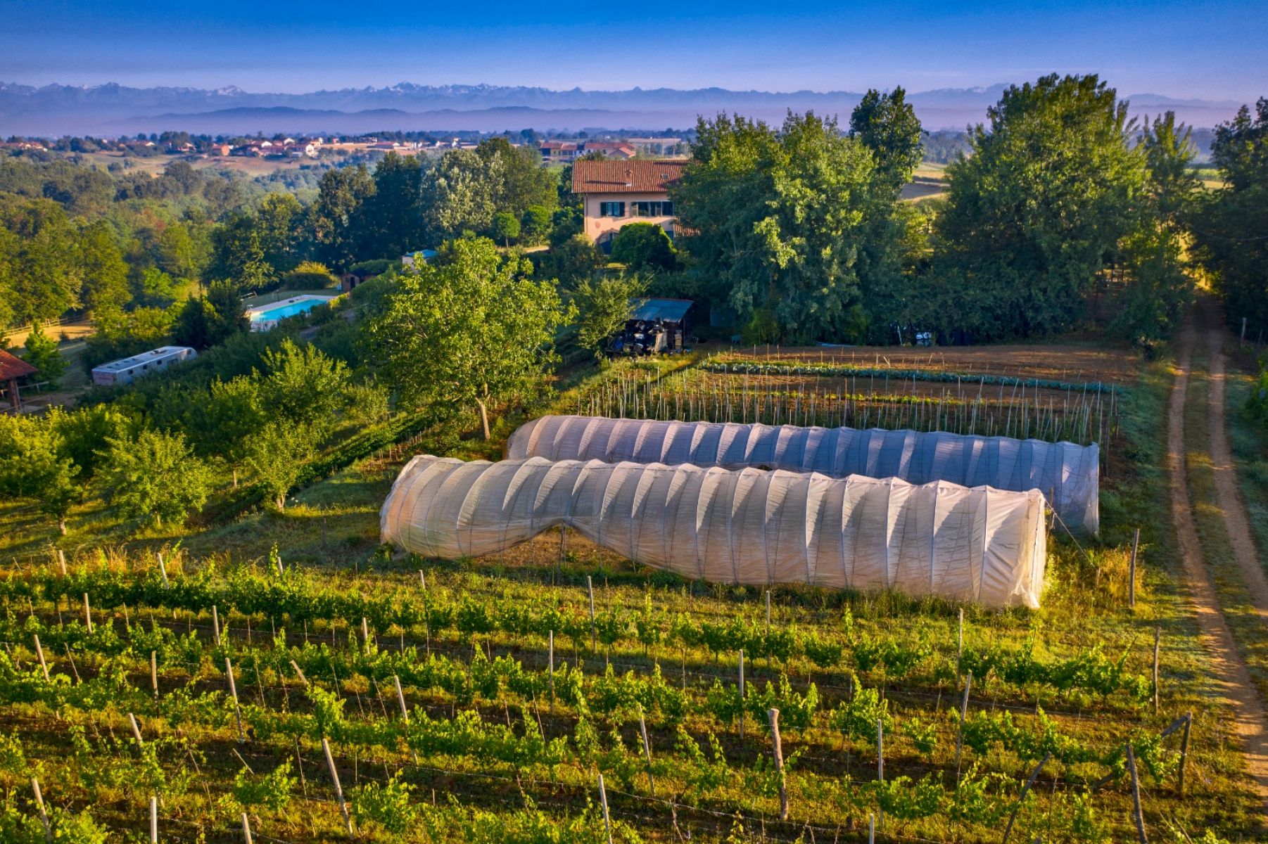 Agriturismo Cascina Papa Mora foto 3