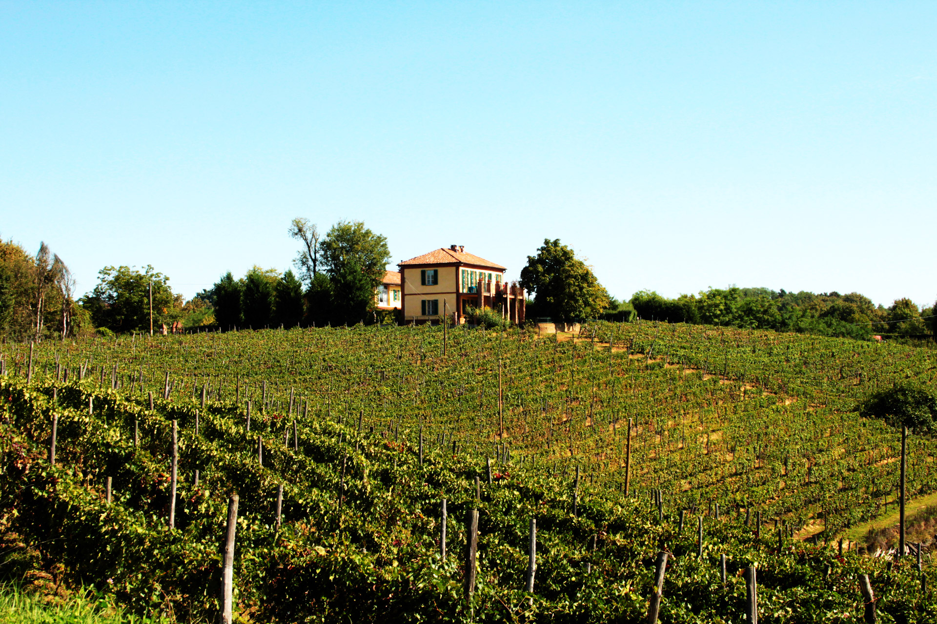 Cascina Desderi Società Semplice Agricola foto 1