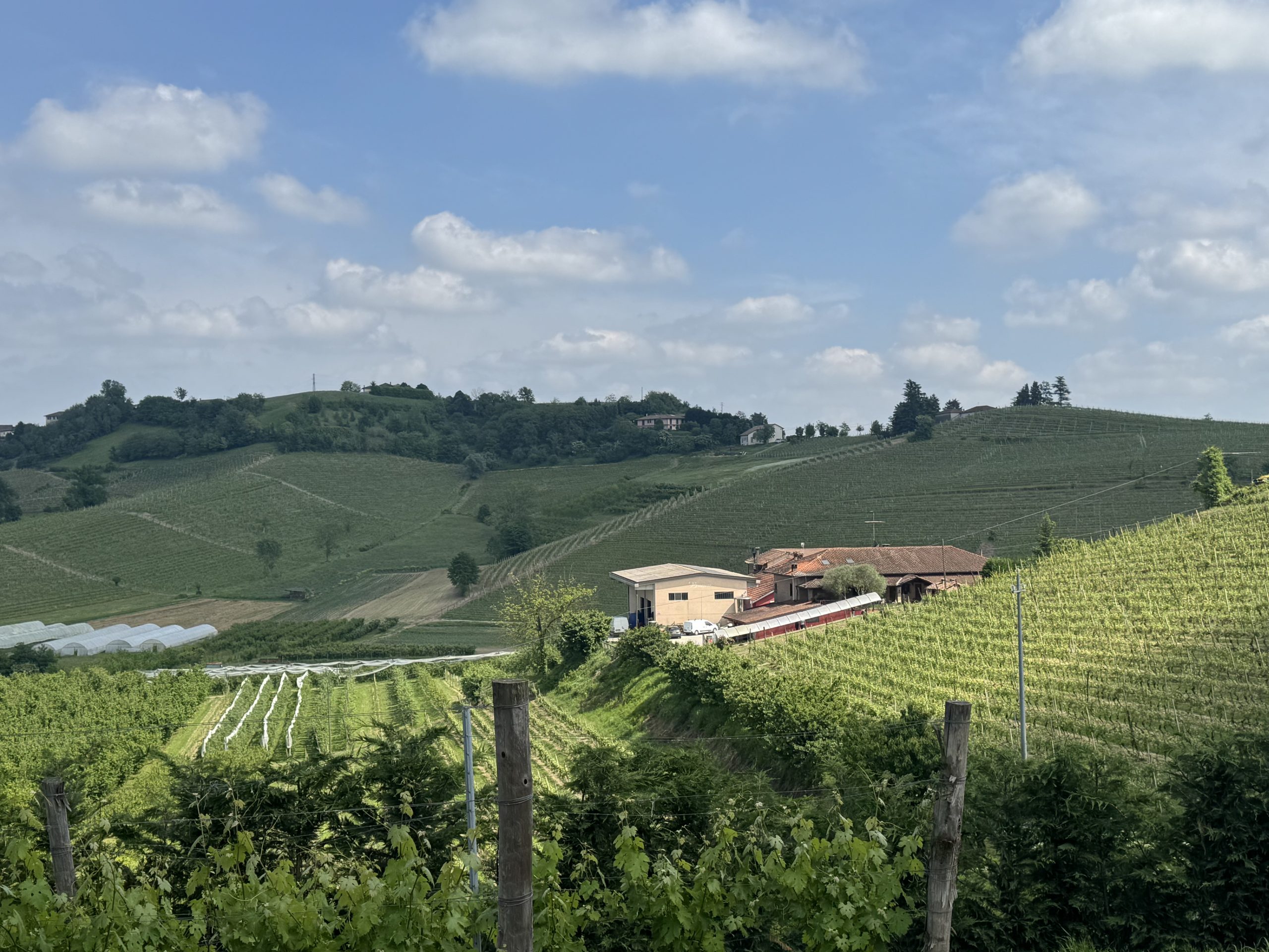 Agriturismo la GépPina foto 4