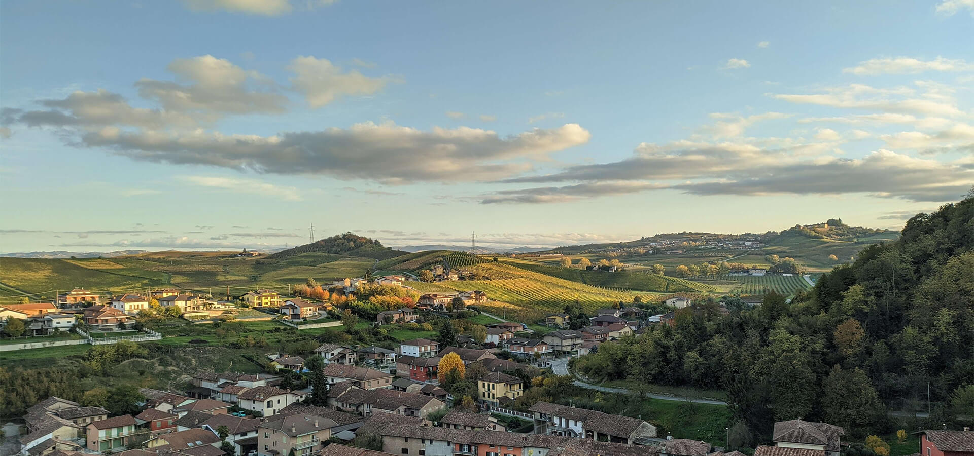 Agriturismo Serra dei Costa foto 3