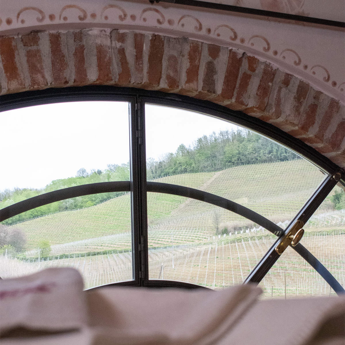 Agriturismo il Buonvicino foto 5