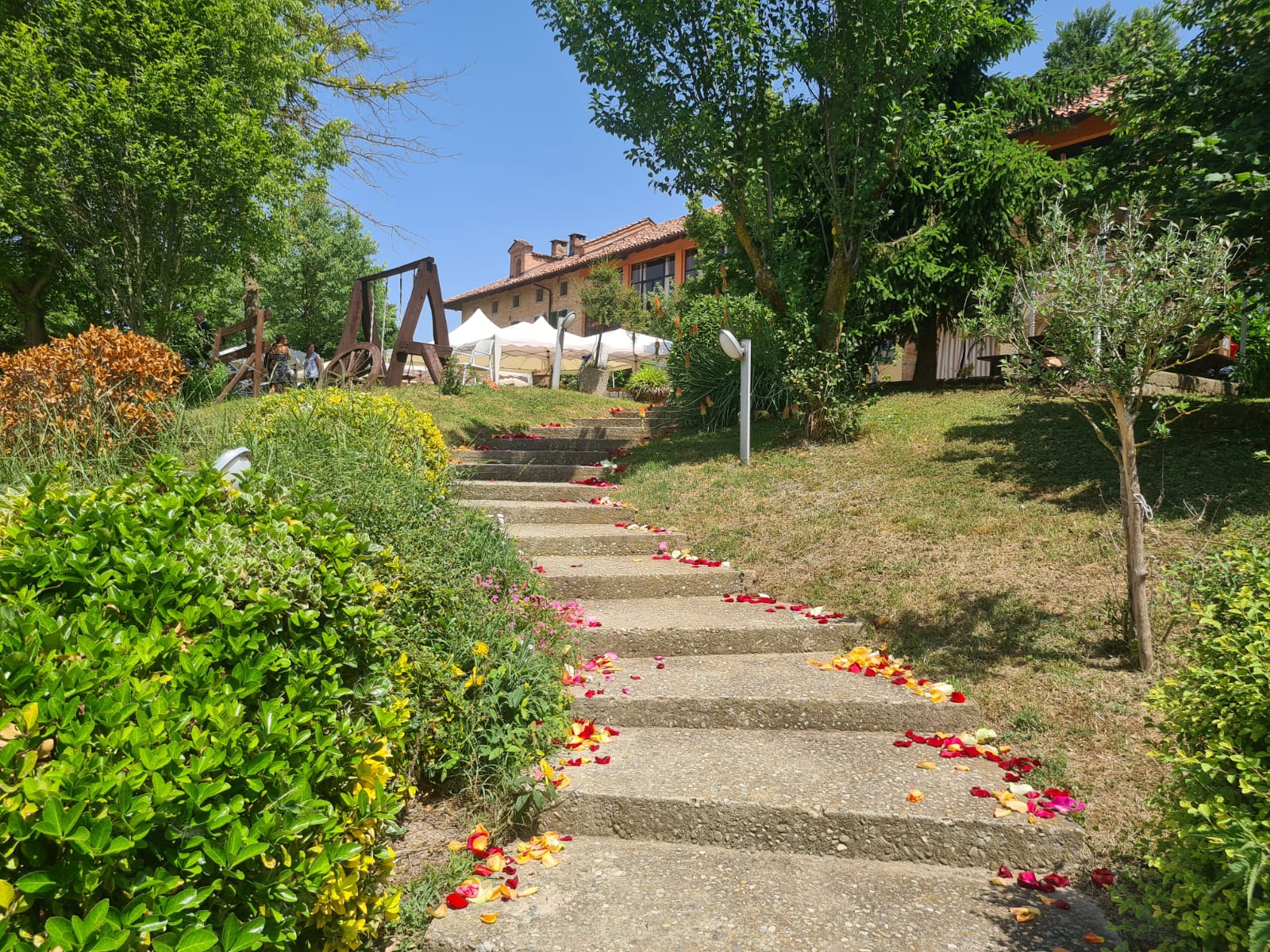 Agriturismo Fattoria Roico foto 2
