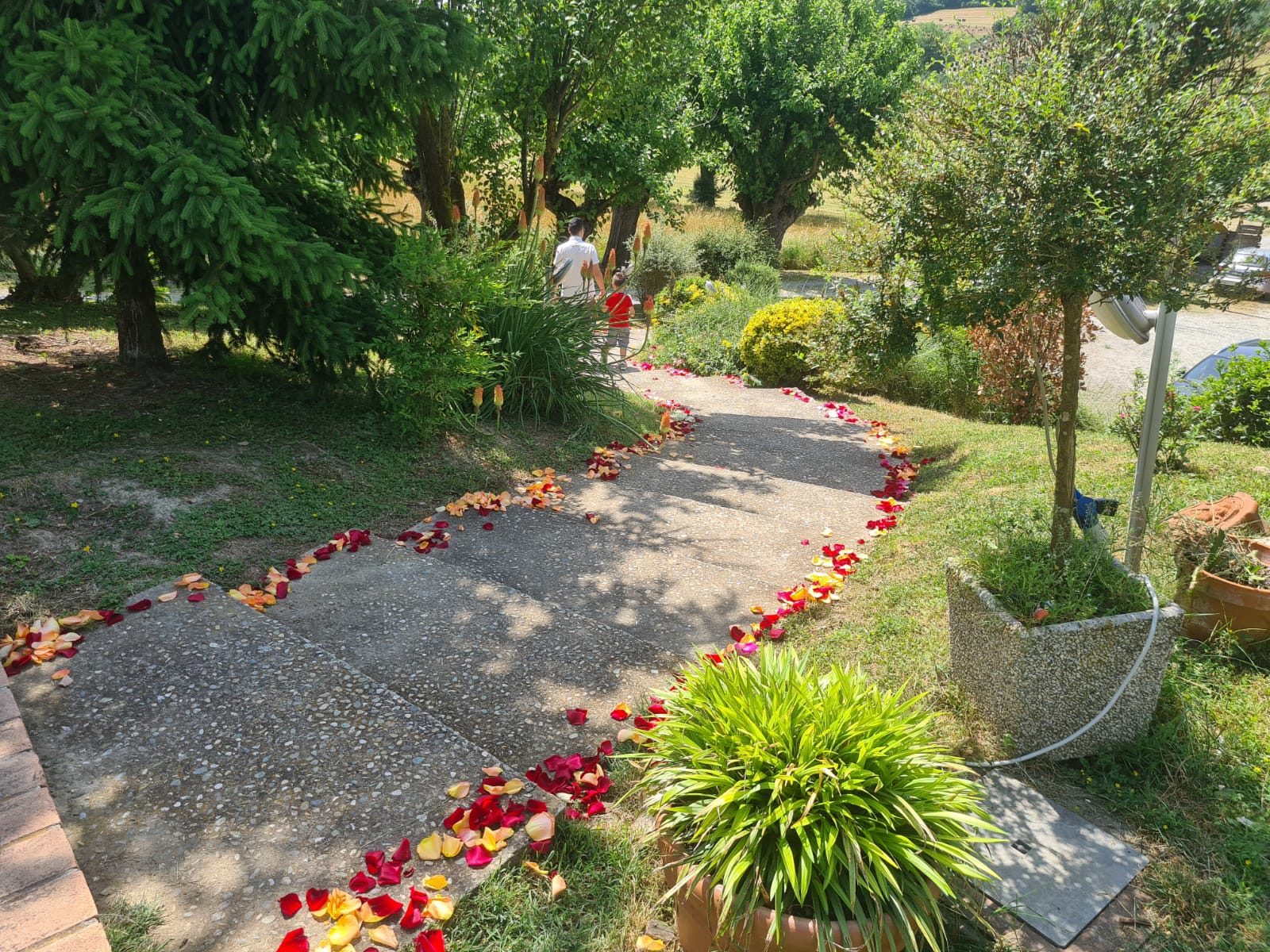 Agriturismo Fattoria Roico foto 4