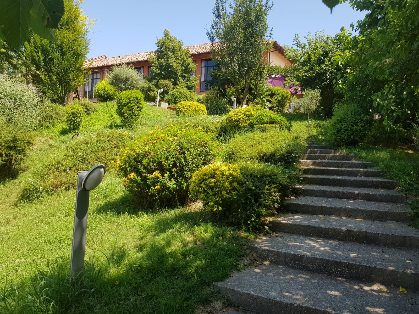 Agriturismo Fattoria Roico foto 6