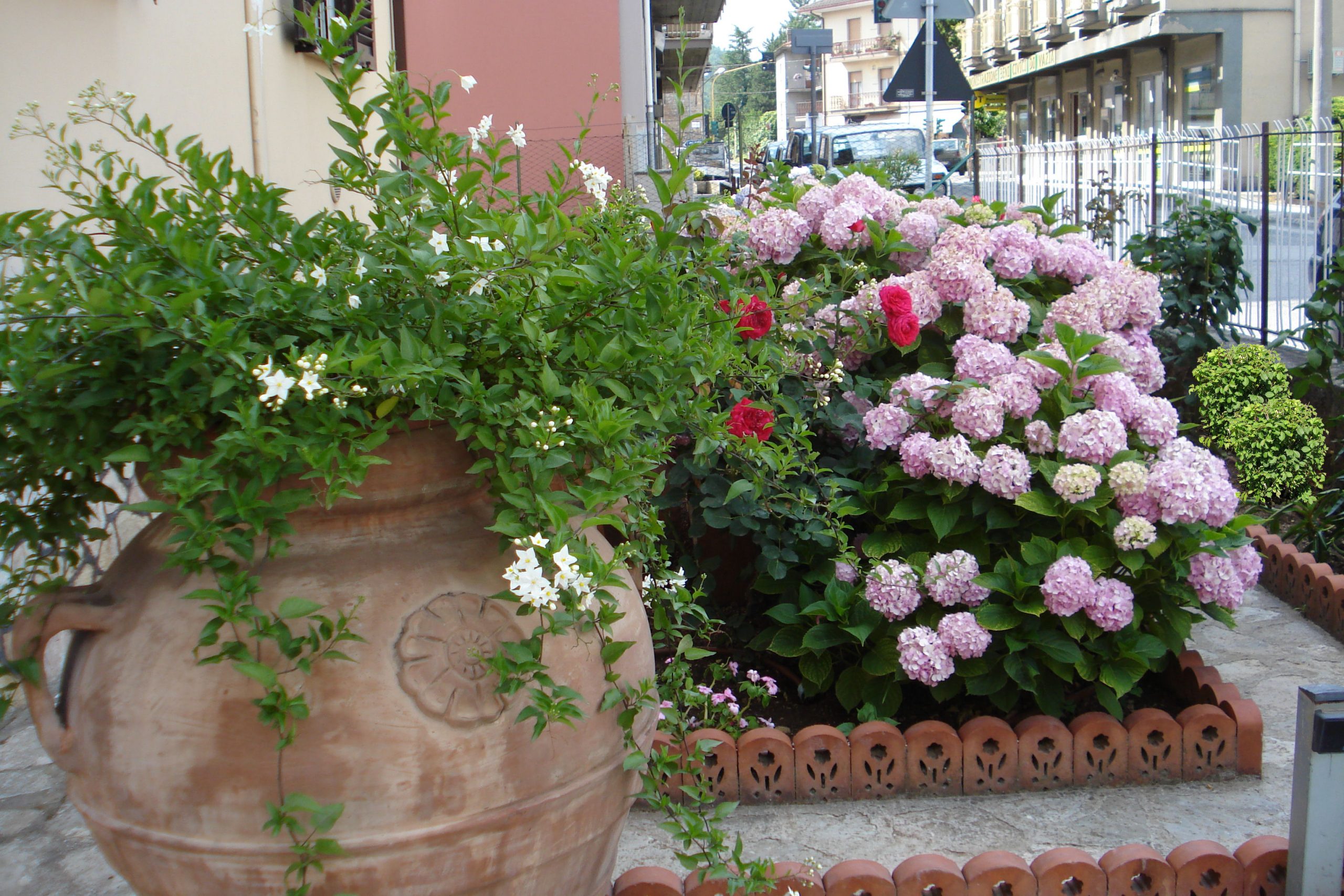 Il Giardino di Mary foto 1