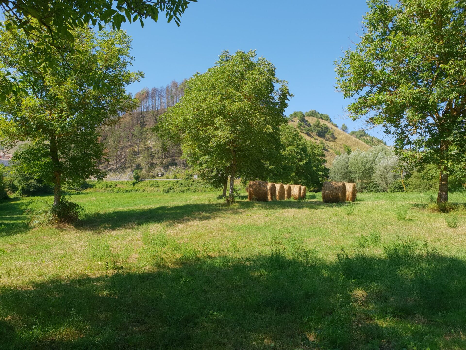 Agriturismo Il Casale Pica foto 2