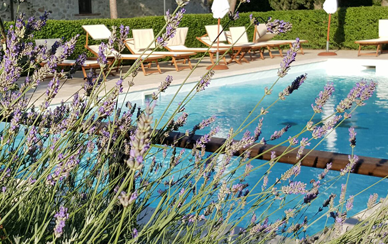 Agriturismo "I Terzieri" foto 2