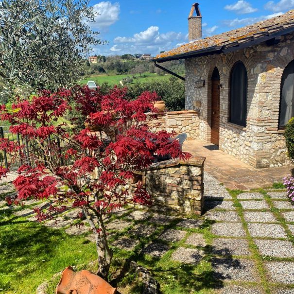 Agriturismo Colle Abramo delle Vigne foto 6