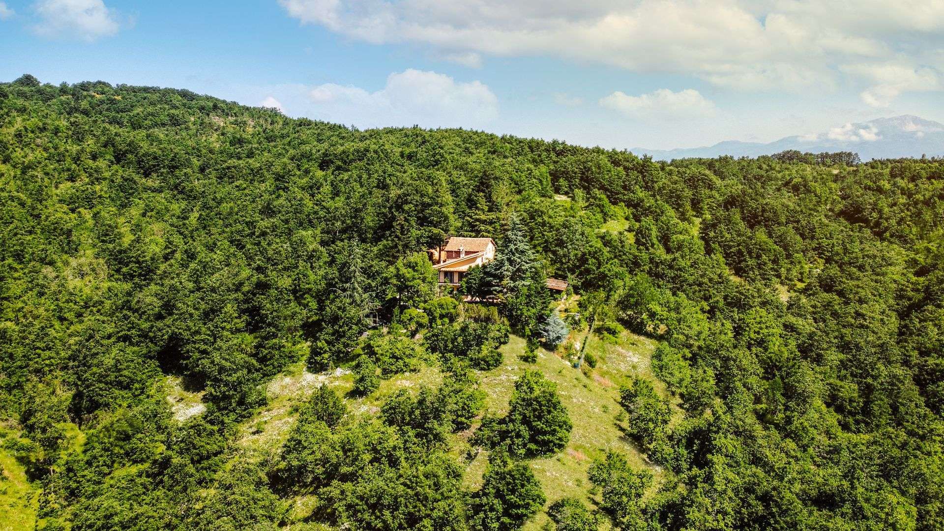 Brindavan Country House foto 1