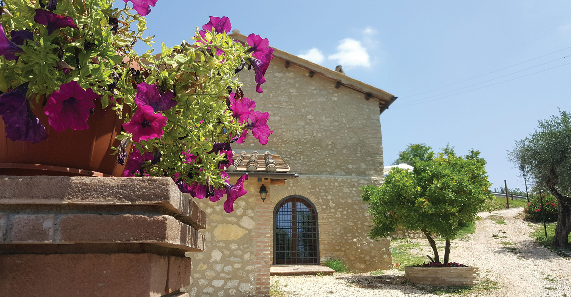 Il Merangolo Agriturismo foto 3