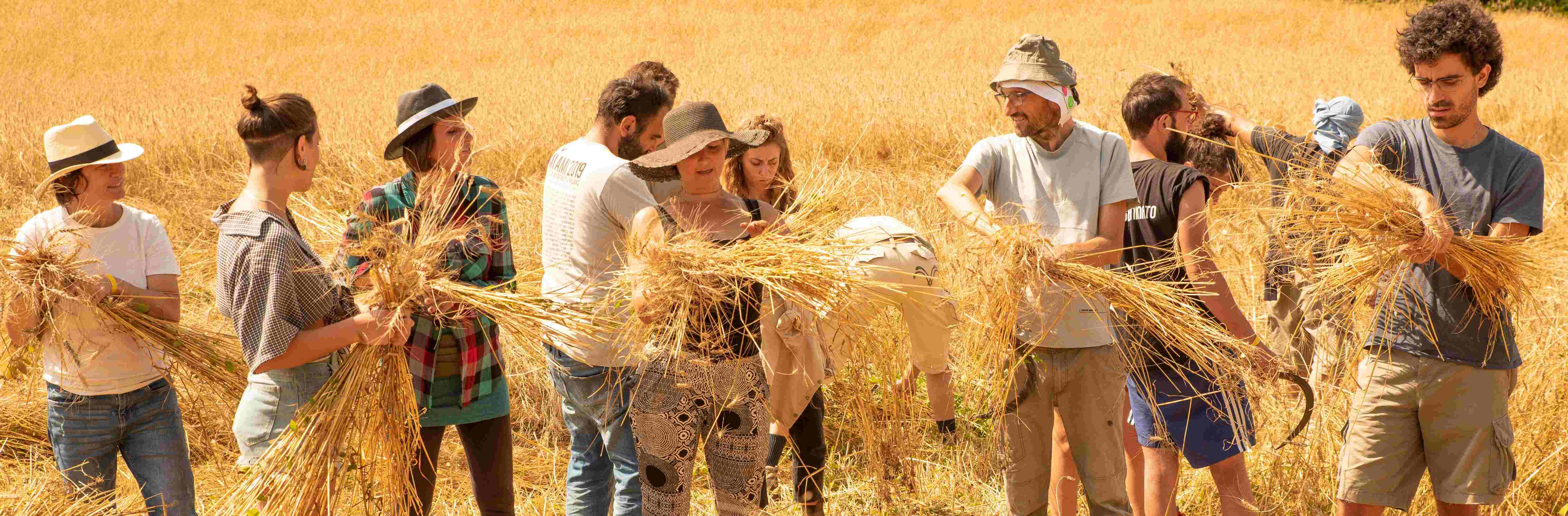 Azienda Agricola Tularù foto 1