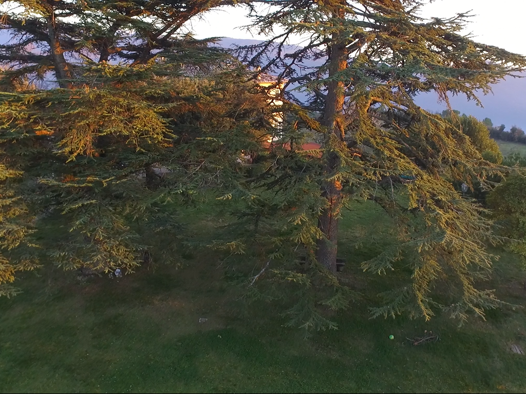 Agriturismo Dimora Todini foto 1