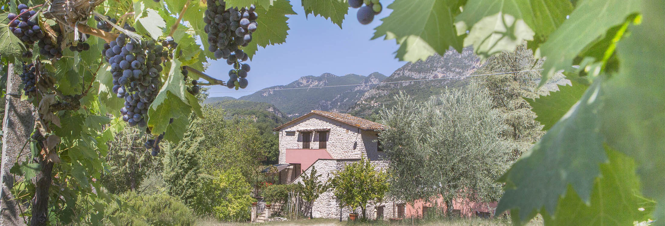 Agriturismo I Melograni foto 4