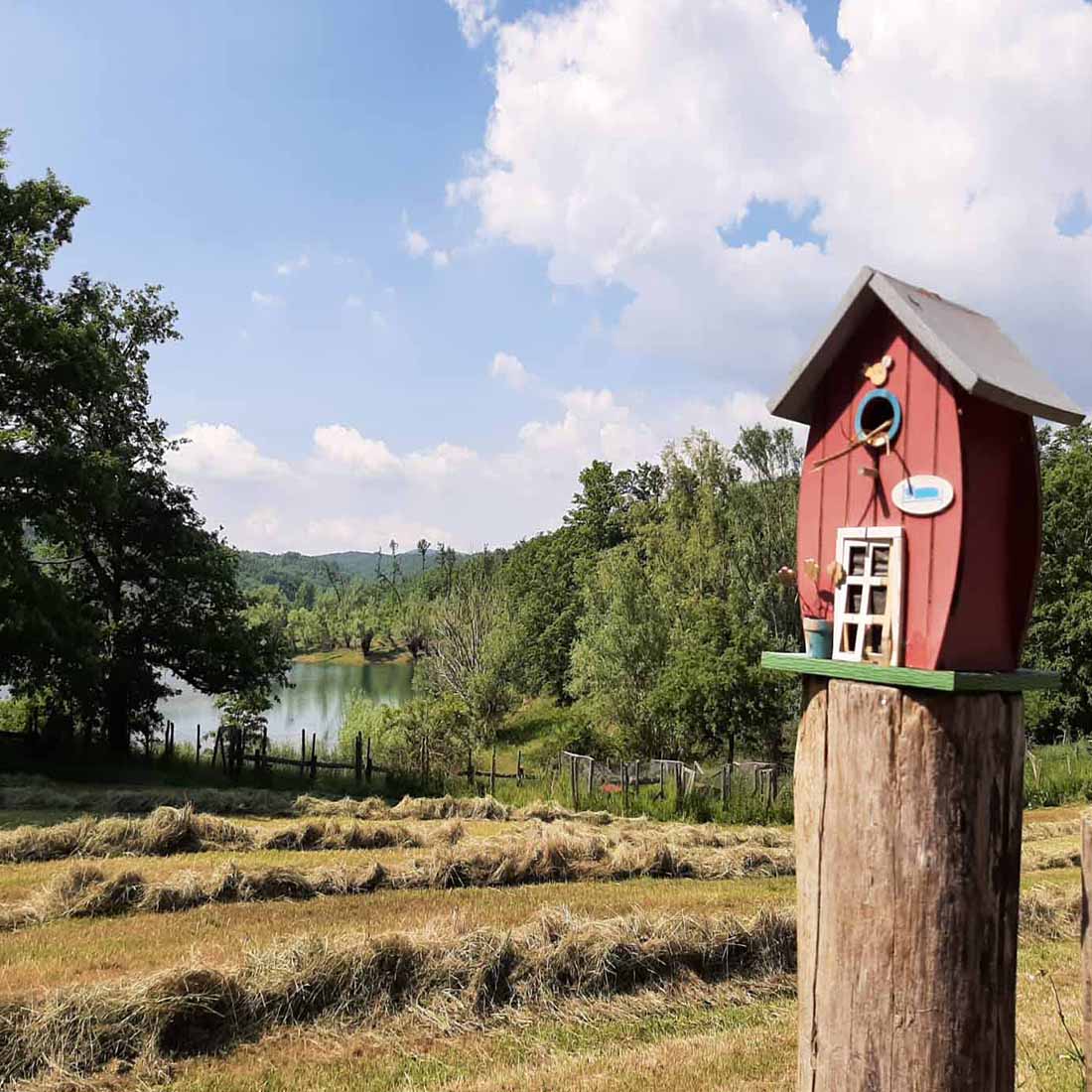 Agriturismo Piccolo Lago foto 5