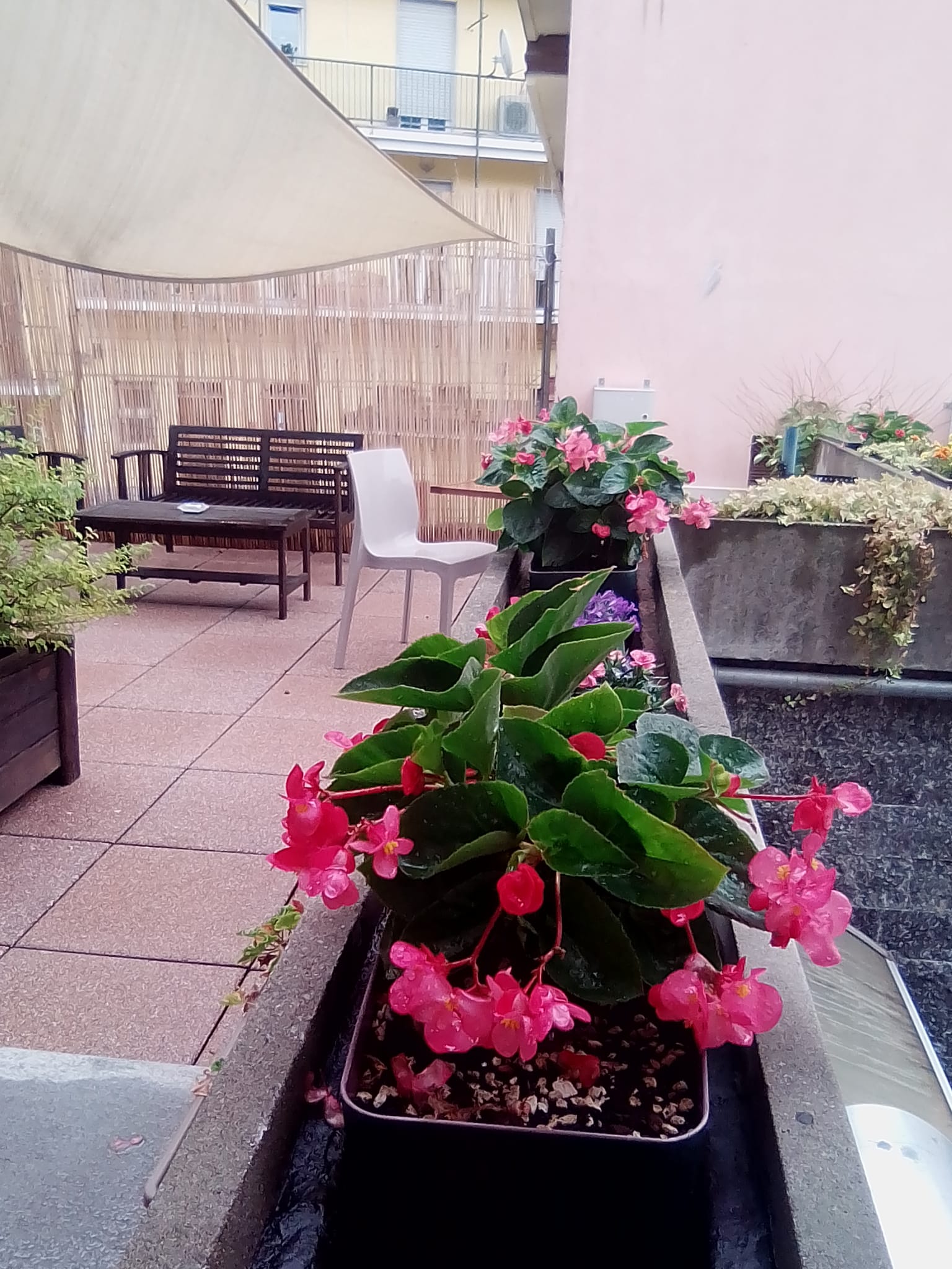 Albergo Biglia - foto 3