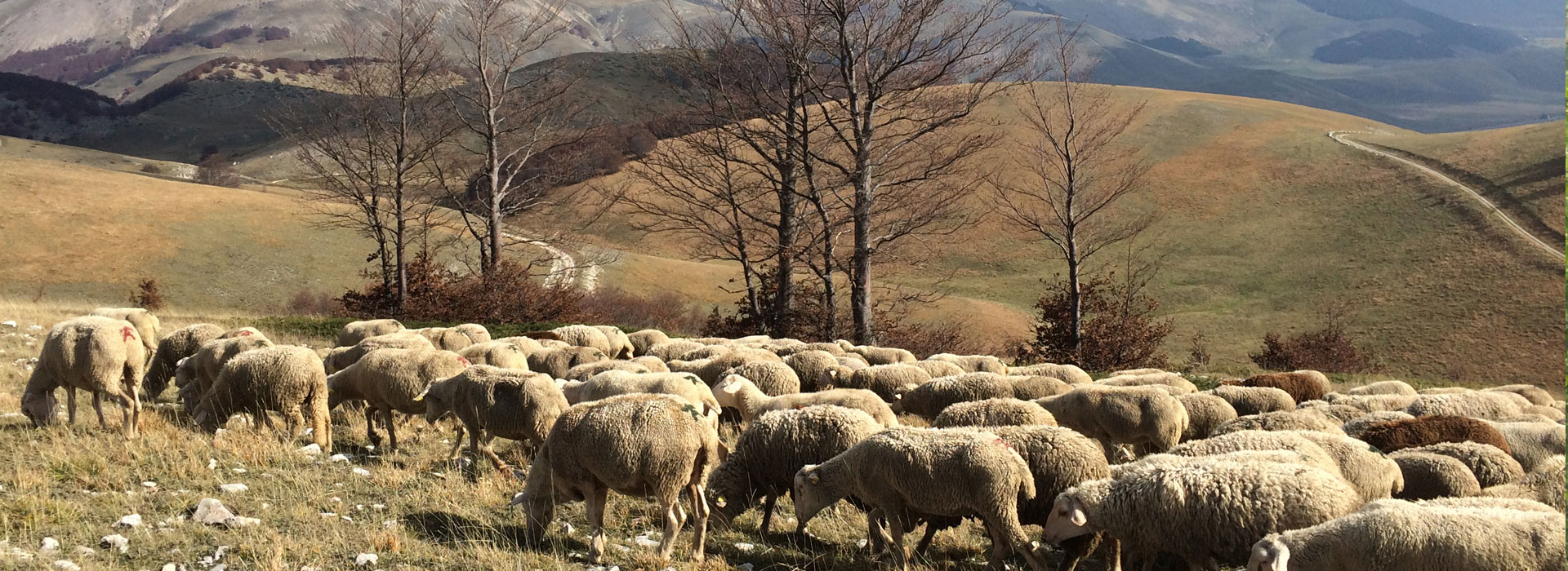 I Laghetti del Bioagriturismo La Porta dei Parchi foto 1