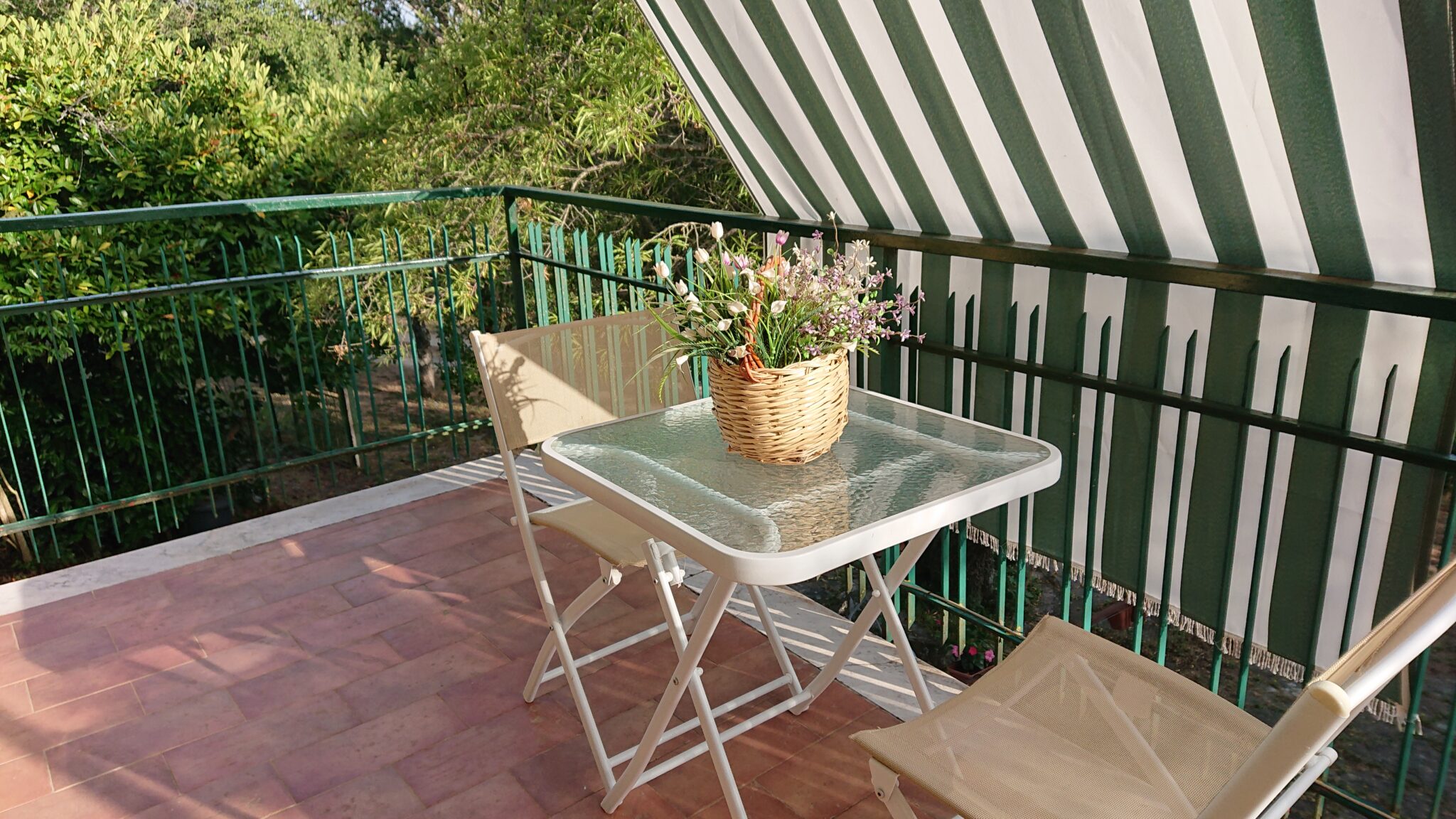 B&B Il Gelso foto 4