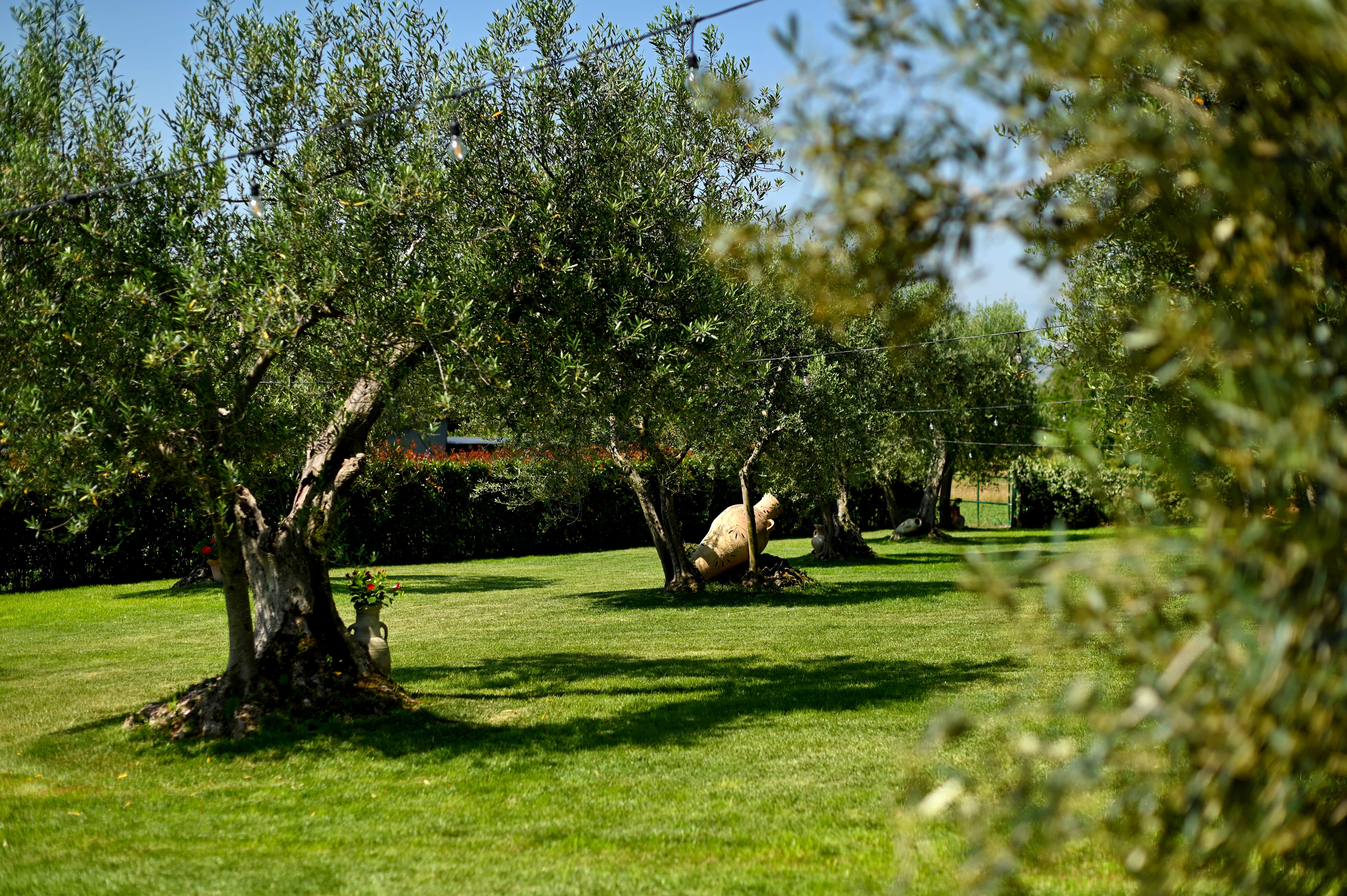 Villa Sorriso Hotel Ristorante foto 2