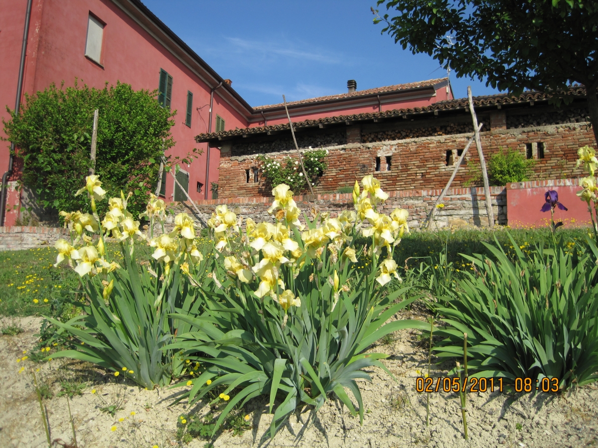 Agriturismo La Dogana - Castello di Luzzano foto 1