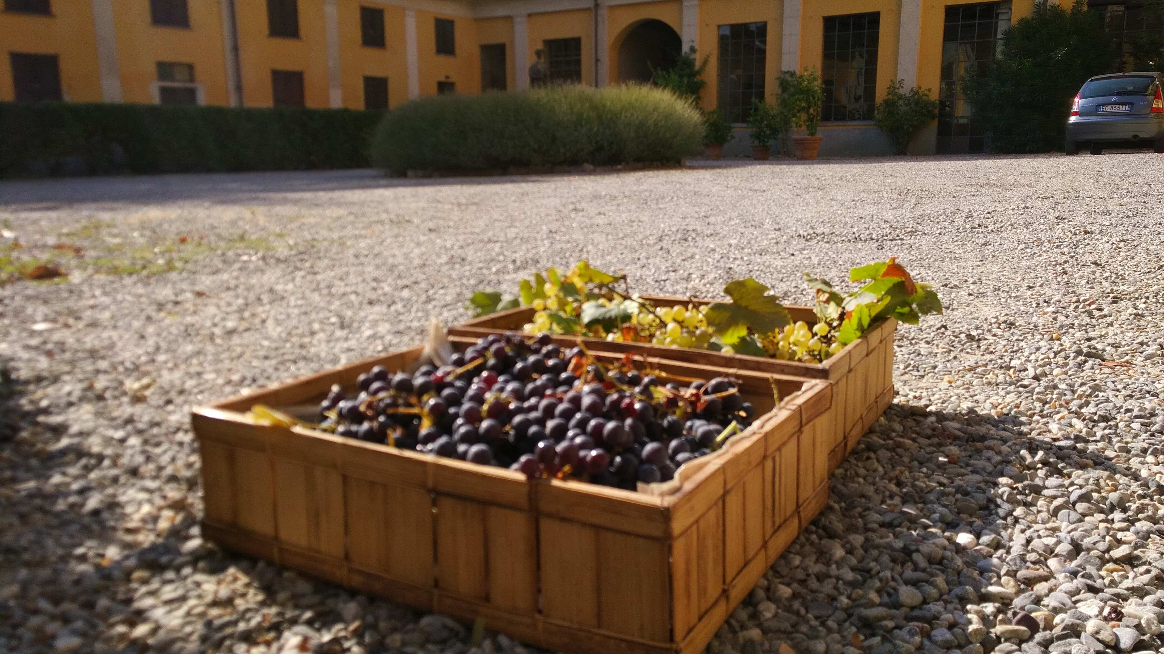 Villa Clerici foto 3
