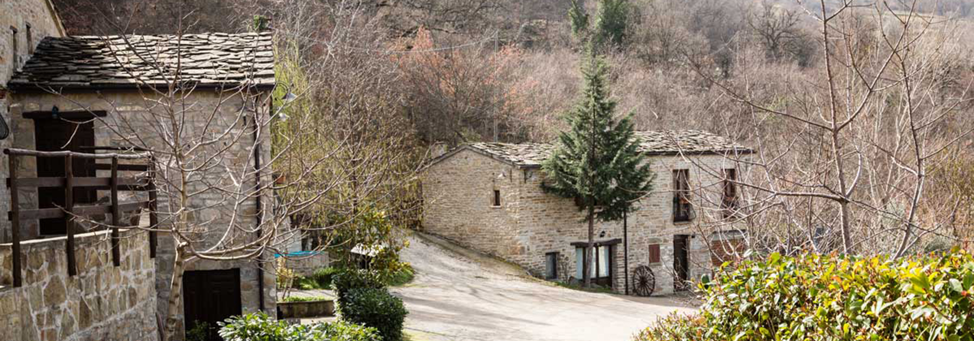 Agriturismo Grotta dell'Eremita foto 2