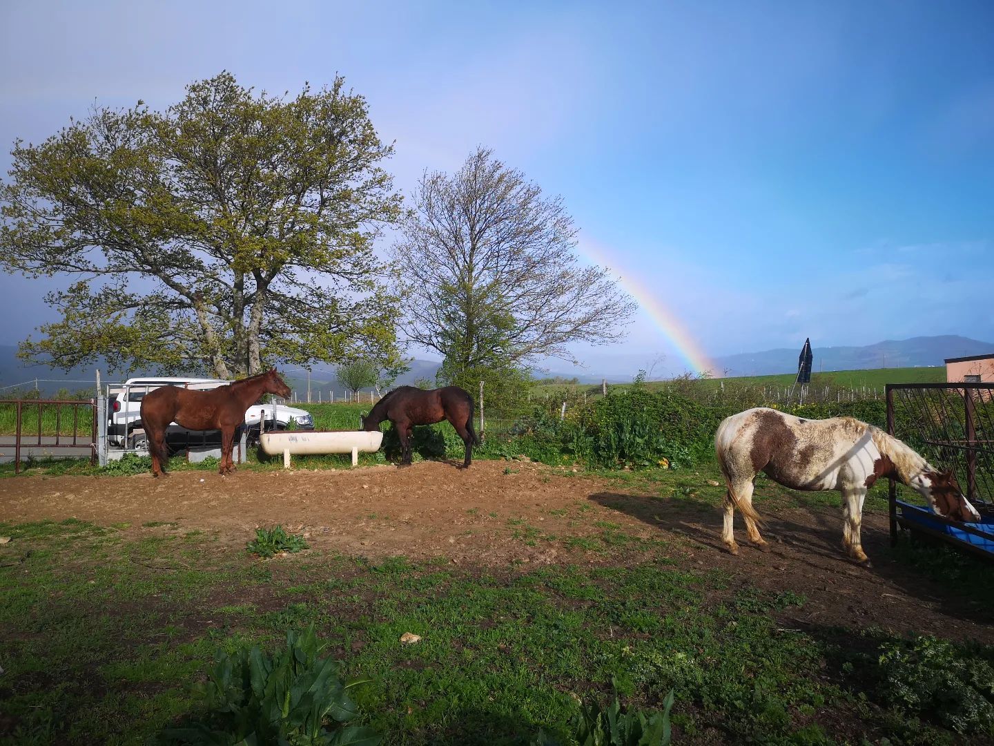 Masseria Straziuso La Vaccariccia foto 6