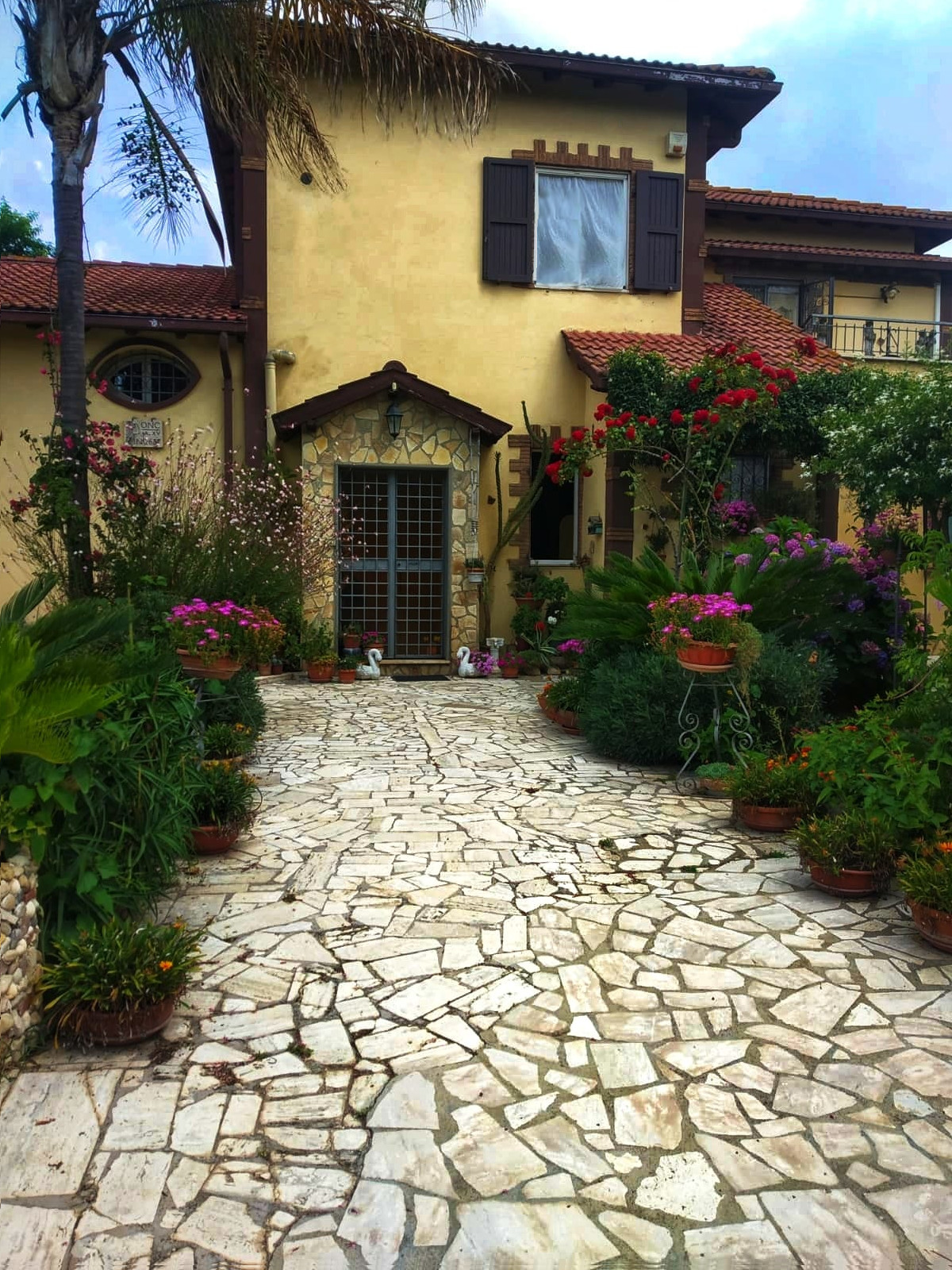 La Villa Del Delfino foto 1