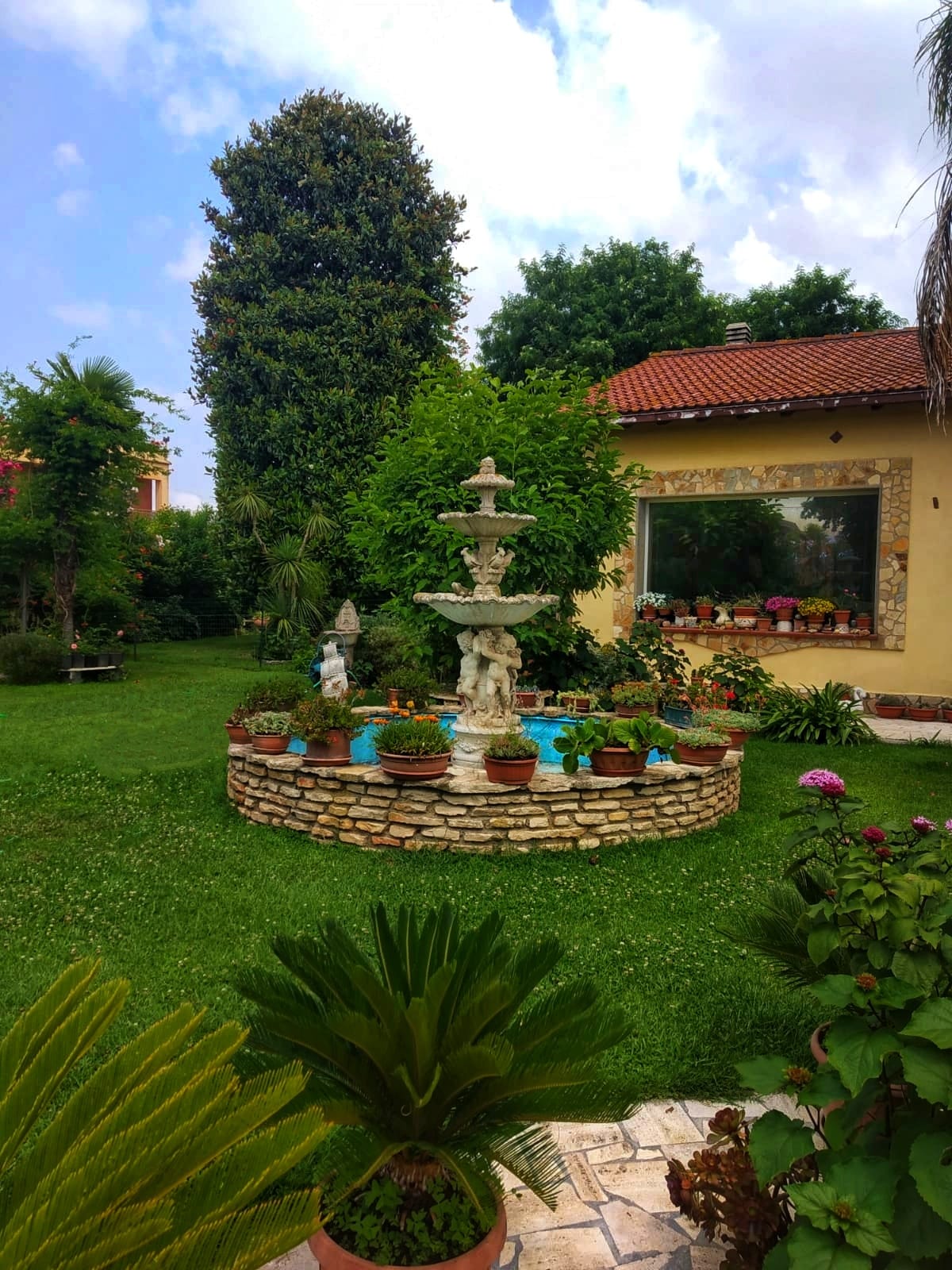 La Villa Del Delfino foto 3
