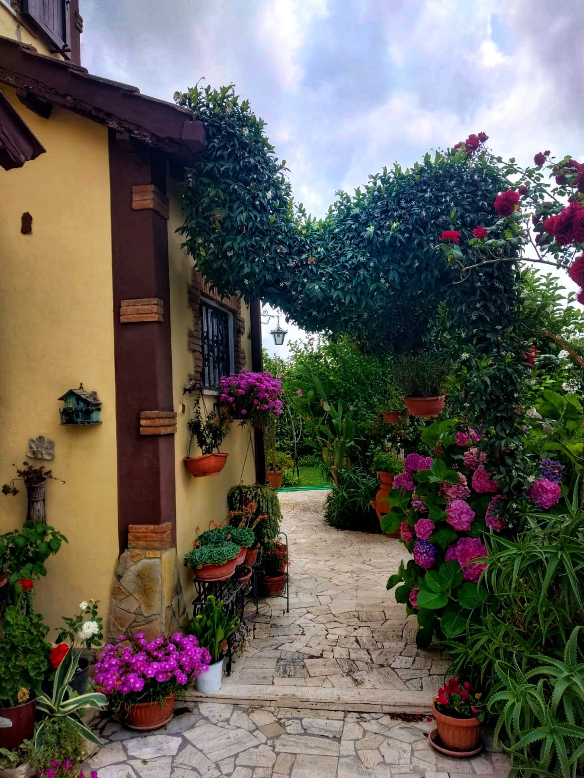 La Villa Del Delfino foto 4