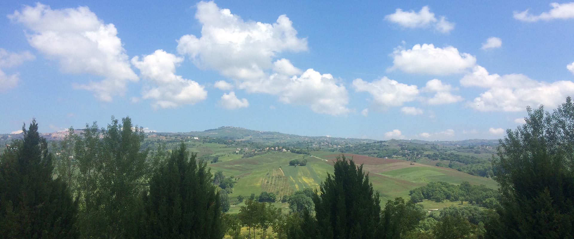 I Tre Ulivi foto 5
