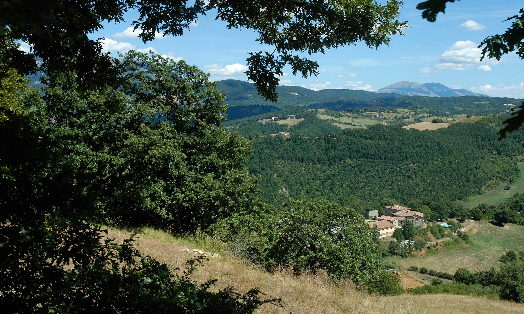 Agriturismo Chignoni foto 1
