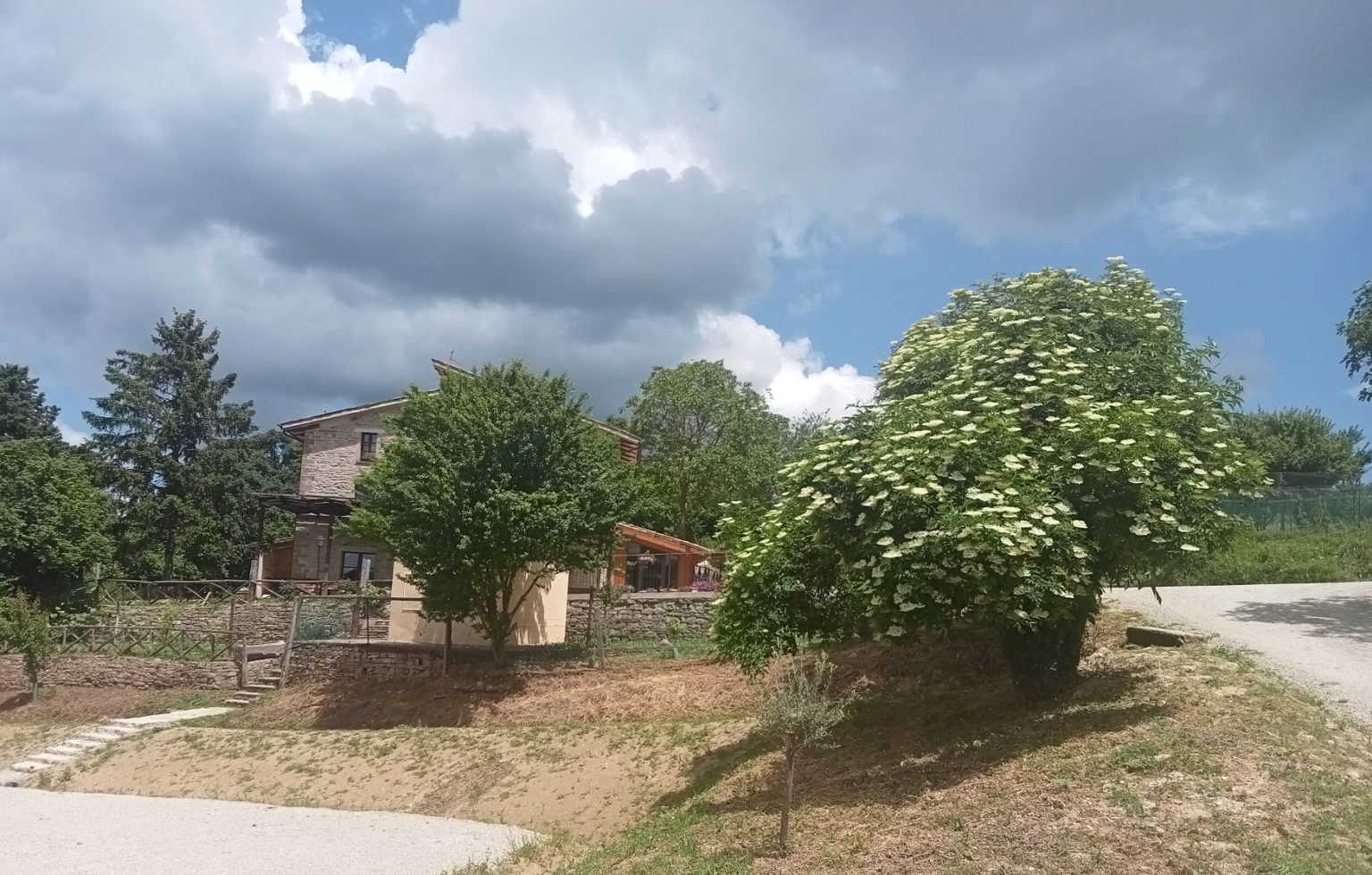 Agriturismo La Cerqua foto 6