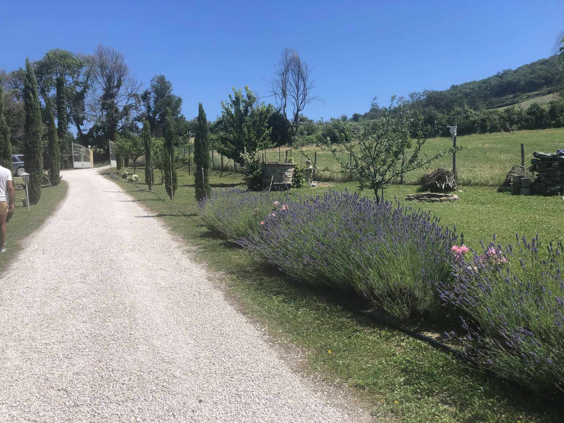 B&B "La Pace" foto 2