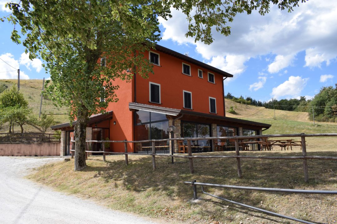 Ristorante Le Ciocche foto 6