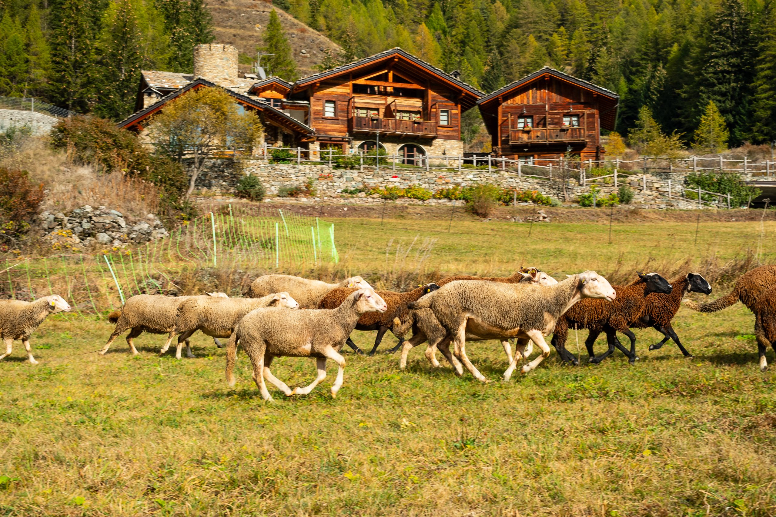 Agriturismo Plan de la Tour foto 1