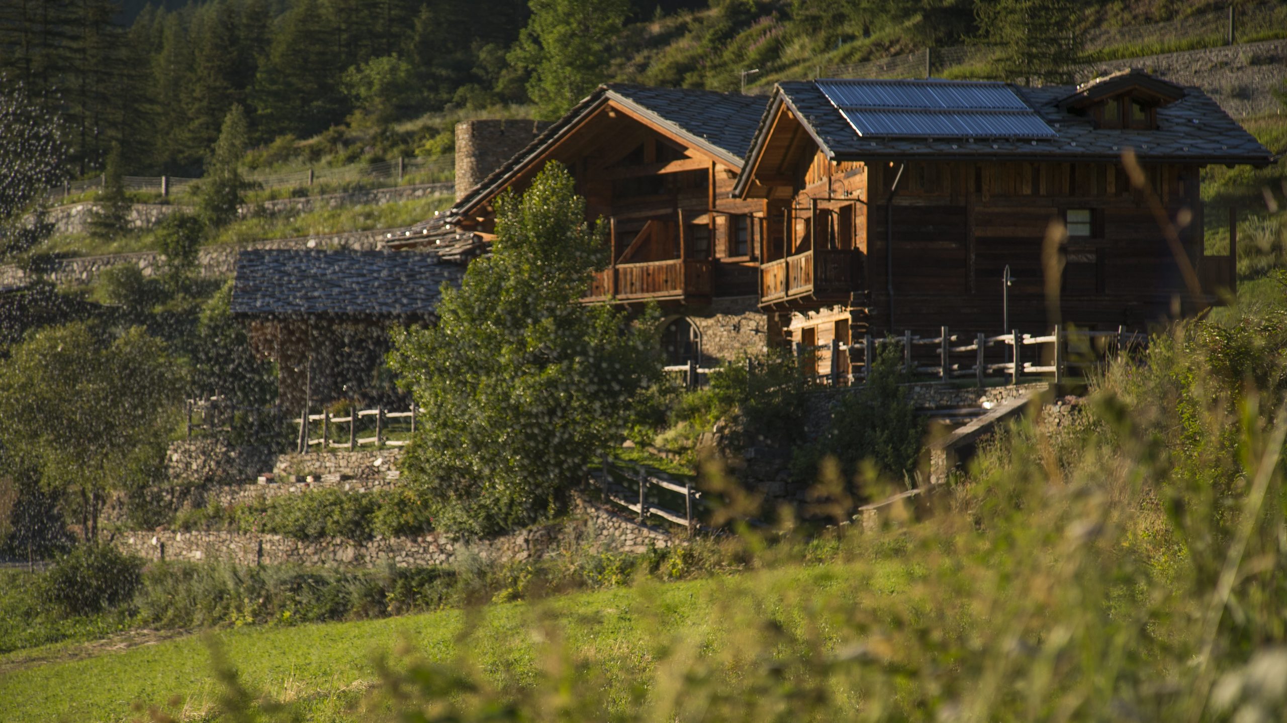 Agriturismo Plan de la Tour foto 6