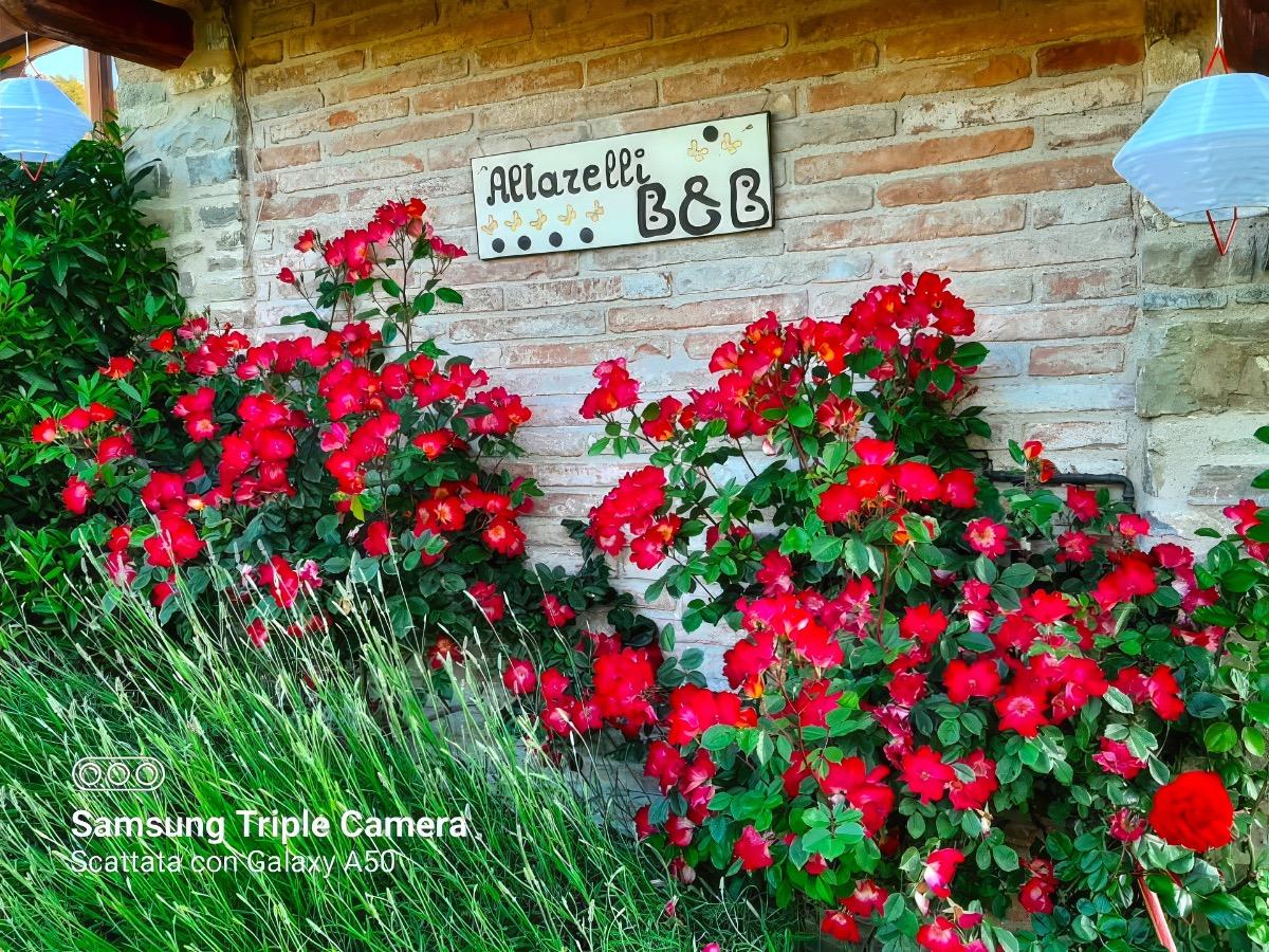 Altarelli B&B foto 2