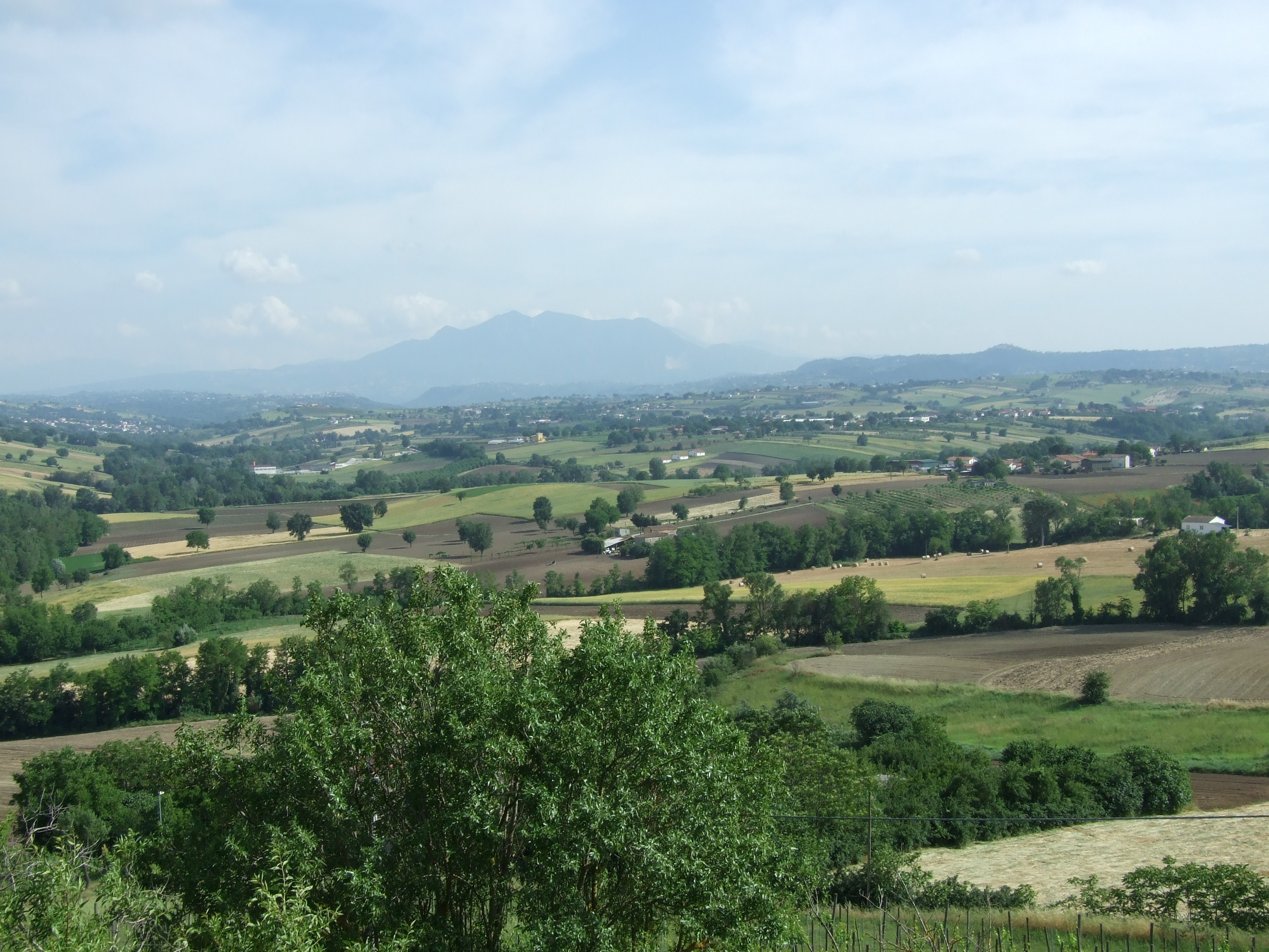 Agriturismo "Al Castello del Principe" foto 1