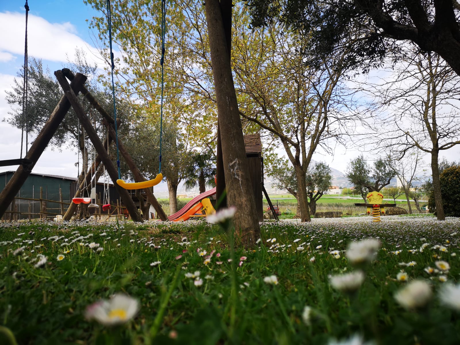 Agriturismo Collina di Roseto foto 1